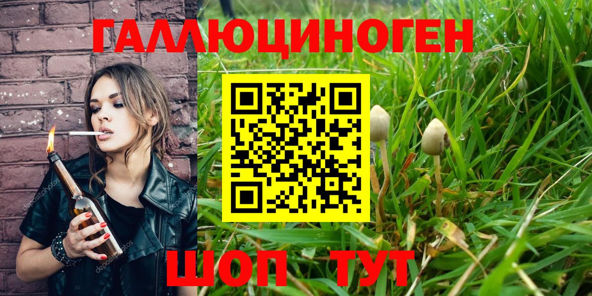 Углич  Псилоцибиновые грибы ЛСД  Вход с VPN 